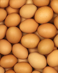 Eggs Recall